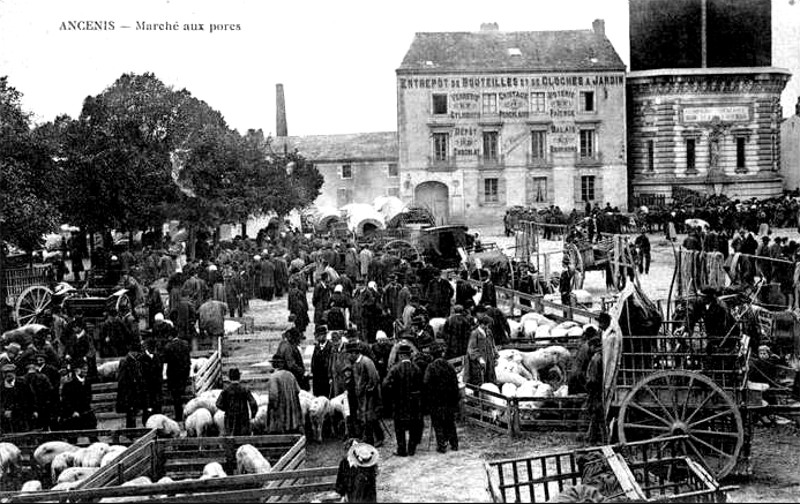 Ville d'Ancenis (anciennement en Bretagne).