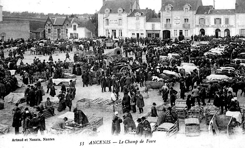 Ville d'Ancenis (anciennement en Bretagne).