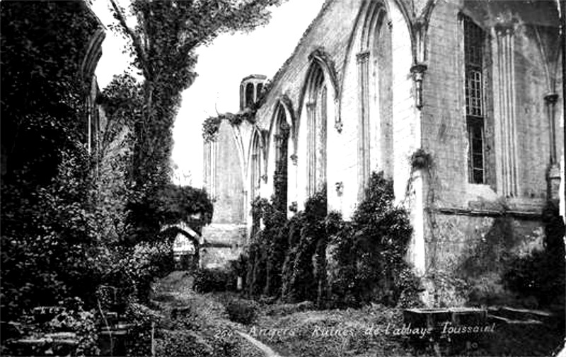 L'abbaye de Toussaint  Angers.