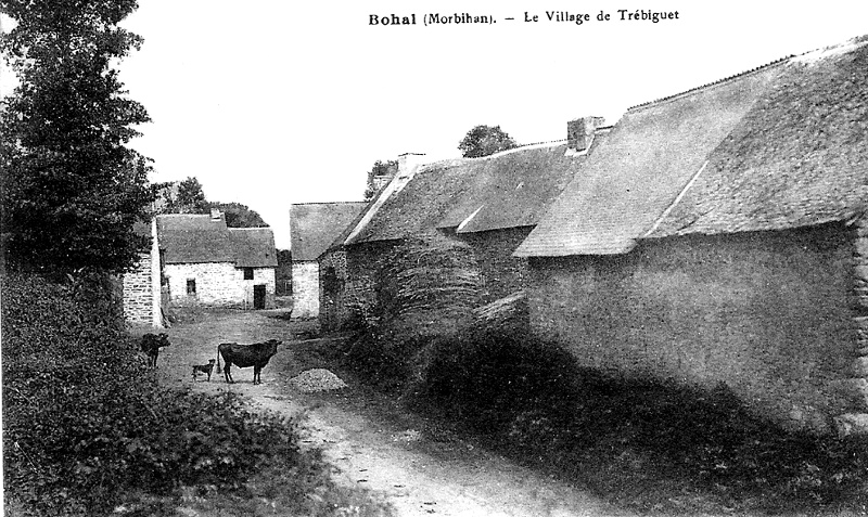 Ville de Bohal (Bretagne).