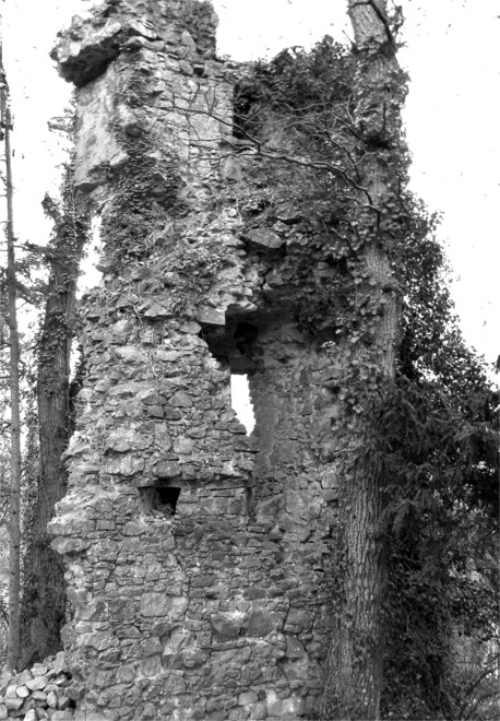 Le donjon de Chevr  la Bouexire (Bretagne).