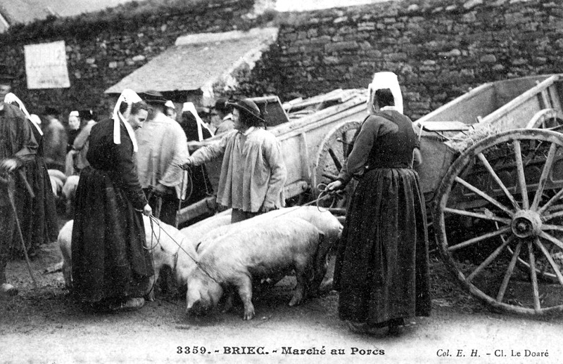 Ville de Briec (Briec-de-l'Odet) en Bretagne.