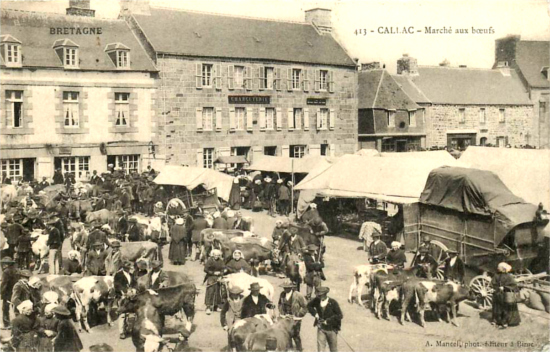 Ville de Callac (Bretagne) : marché.