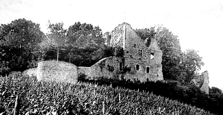 Place forte des Chalon  Arlay (Jura).