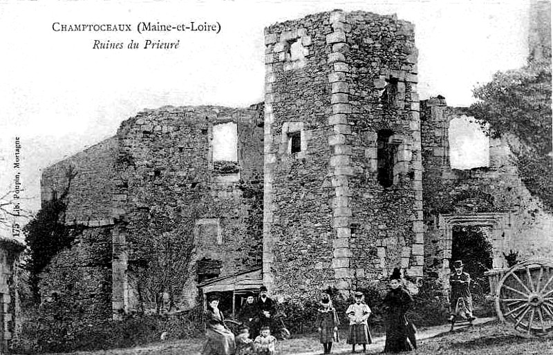 Ruines du prieur de Champtoceaux ou Chateauceaux (Maine-et-Loire).