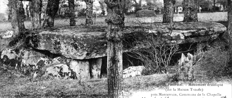 Ville de la Chapelle-Caro (Bretagne) : dolmen de Troue.