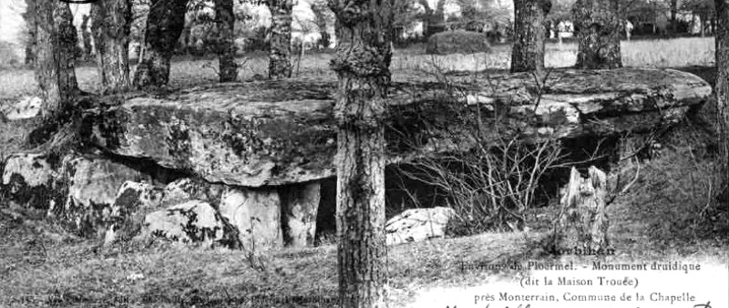Ville de la Chapelle-Caro (Bretagne) : dolmen de Troue.
