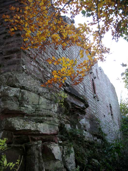 chteau du Petit-Koenigsbourg (Alsace)