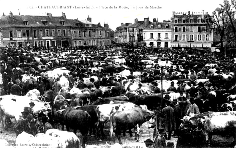 Ville de Chateaubriant (Bretagne).