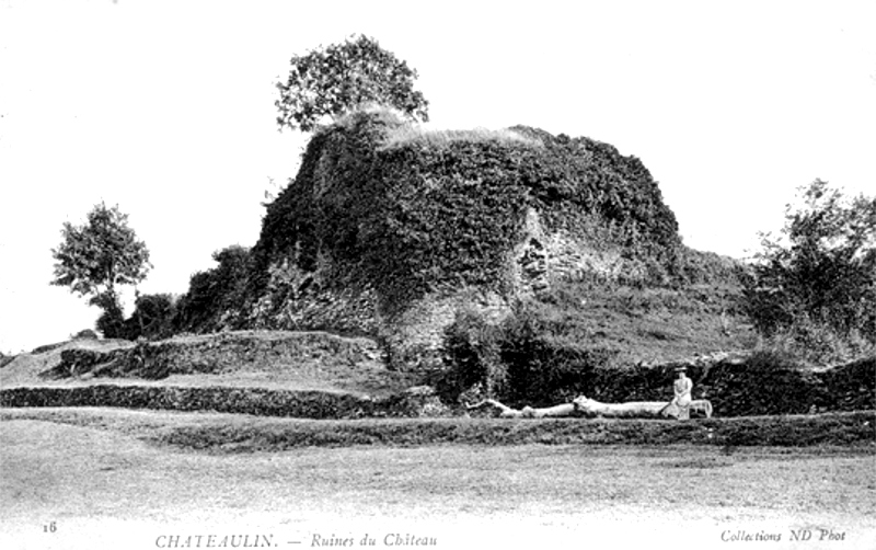 Ruines du chteau de Chteaulin (Bretagne).