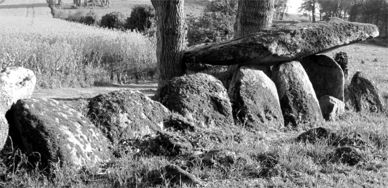 Dolmen de Kerjagu  Colpo (Bretagne).