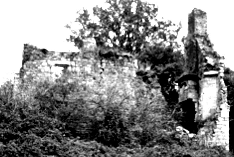 Ruines du château de Tregoët à Le Cours (Bretagne).