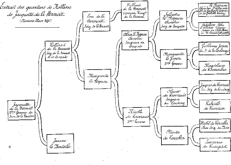 Extrait des quartiers de Noblesse de Jacquette de la Hermot.