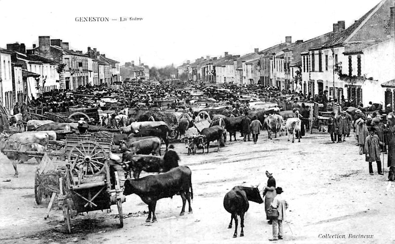 Ville de Geneston (Bretagne).