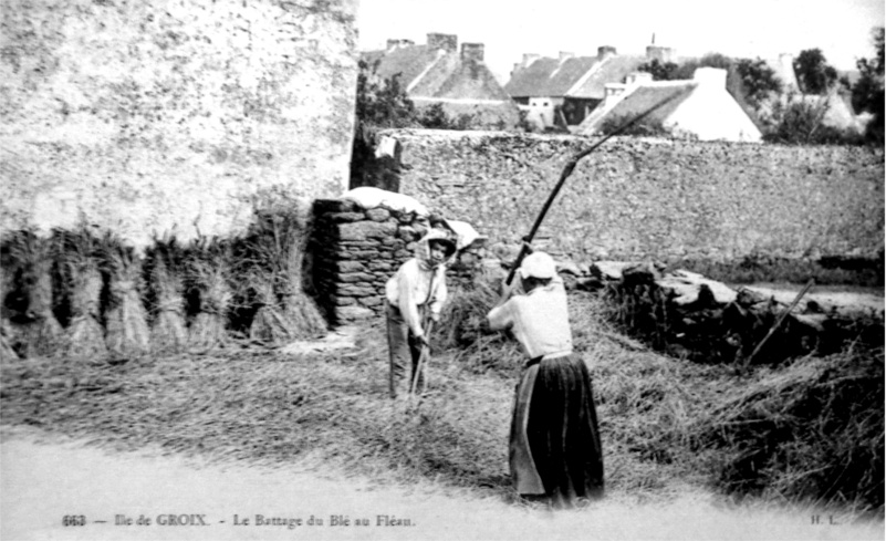 l'le de Groix (Bretagne).