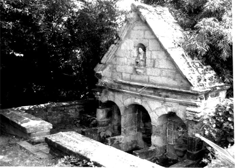 Fontaine Saint-Gildas  Gueltas (Bretagne).