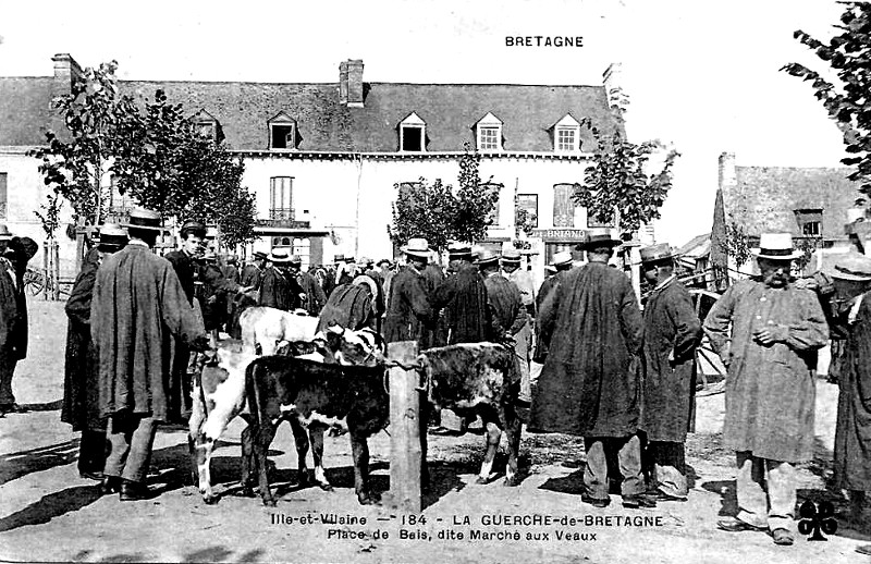 Ville de la Guerche-de-Bretagne (Bretagne).