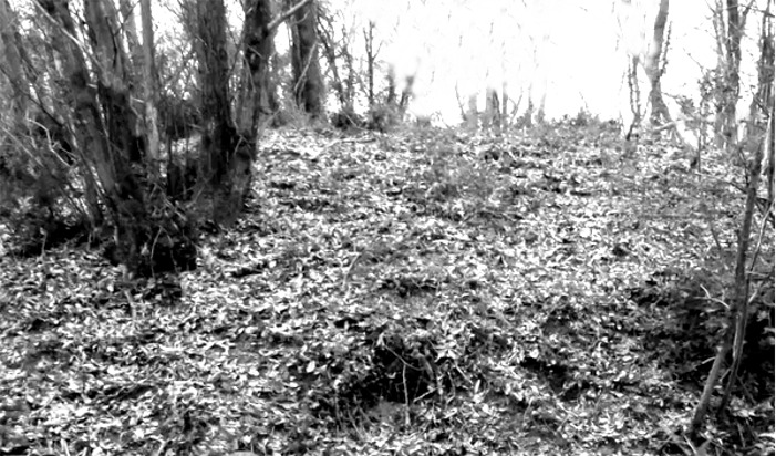 L'emplacement et ruines du chteau d'Alon  Jou-sur-Erdre.