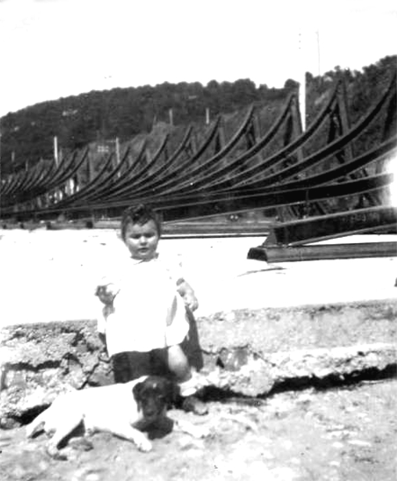 Saint-Michel-en-Grve : les rails curtoirs positionns sur le Garage dAvions en 1943.