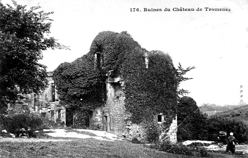 Ruines du manoir de Tromnec ou Tromenech  Landda (Bretagne).