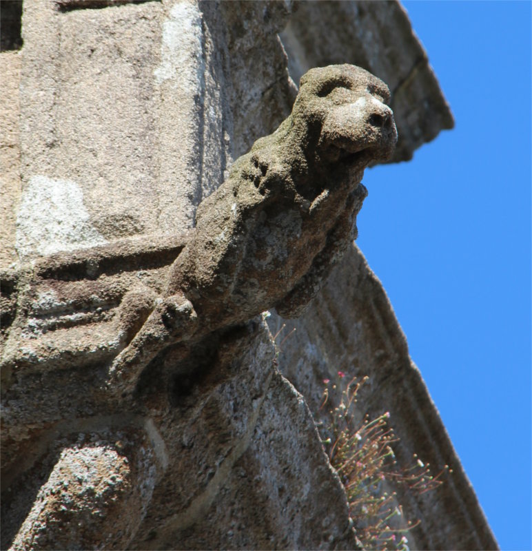 Gargouille de l'glise de Locquirec (Bretagne).