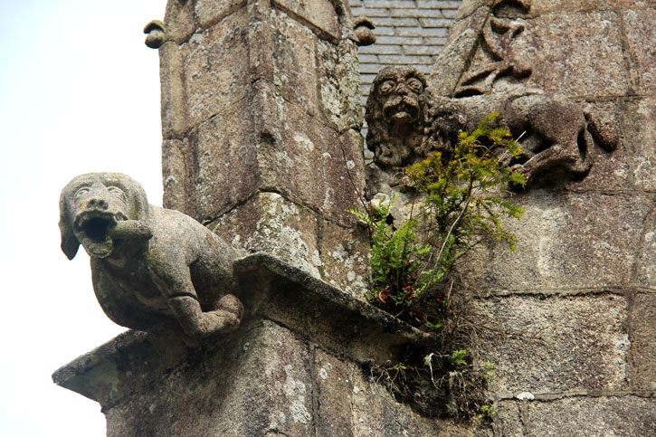 Gargouille de l'ancienne glise Saint-Ivy de Loguivy-Plougras (Bretagne)