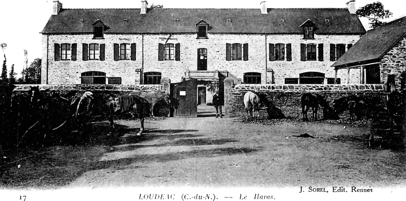 Haras de Loudac (Bretagne).