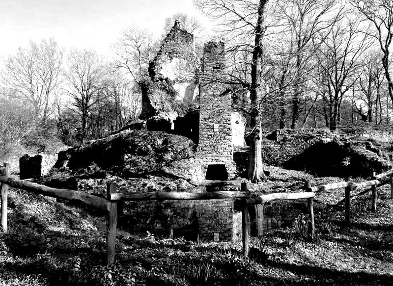 Ruines du chteau du Goust  Malville.