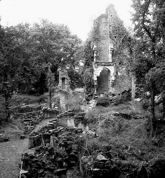 Ruines du chteau du Goust  Malville.