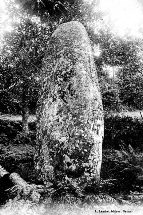 Dolmen de Mnac (Bretagne).