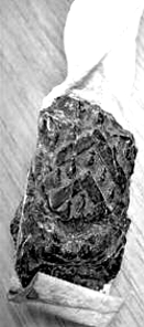 Minihy-Tr�guier (Bretagne) : Sceau de Mgr Jean de Ploeuc, �v�que de Tr�guier, du 4 mai 1442.