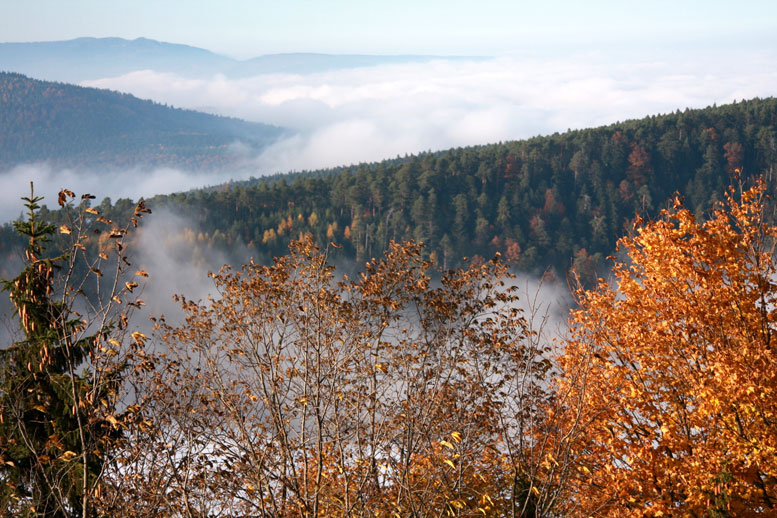 Mont-Sainte-Odile (Alsace)