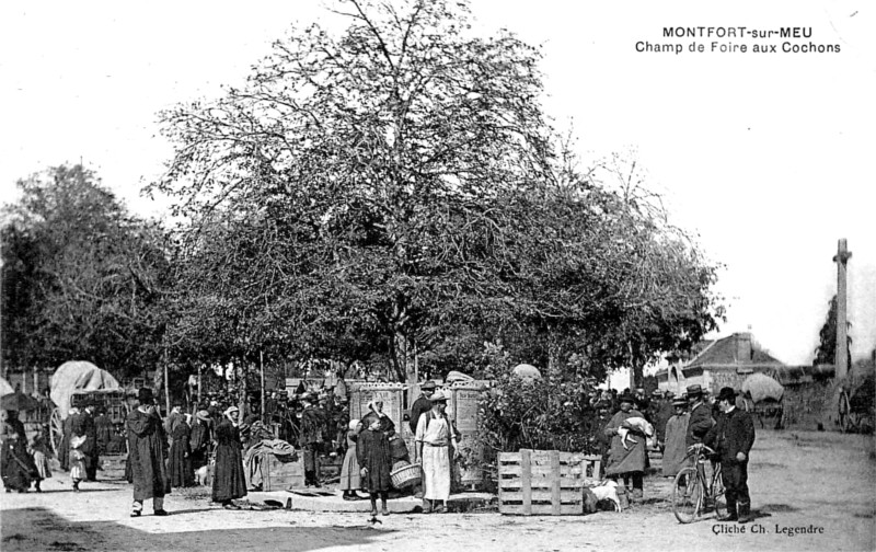 Ville de Montfort-sur-Meu (Bretagne).