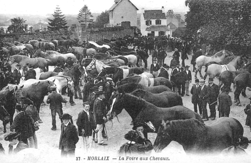 Ville de Morlaix (Bretagne).