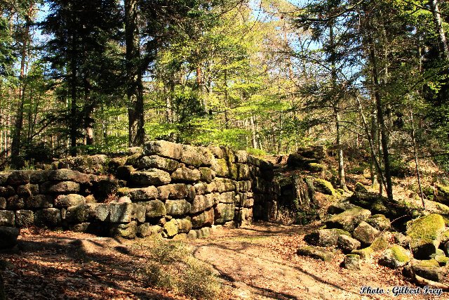 L'enceinte du mur payen du Mont Sainte Odile