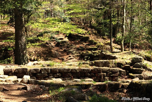 L'enceinte du mur payen du Mont Sainte Odile