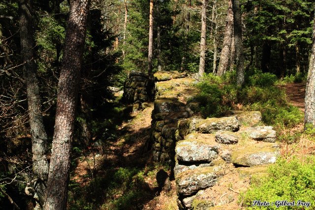 L'enceinte du mur payen du Mont Sainte Odile