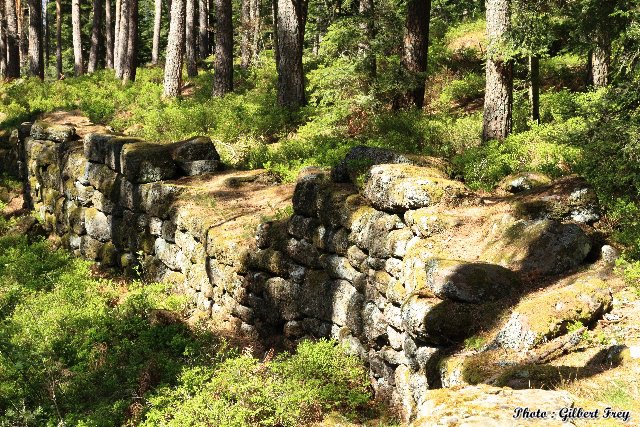 L'enceinte du mur payen du Mont Sainte Odile