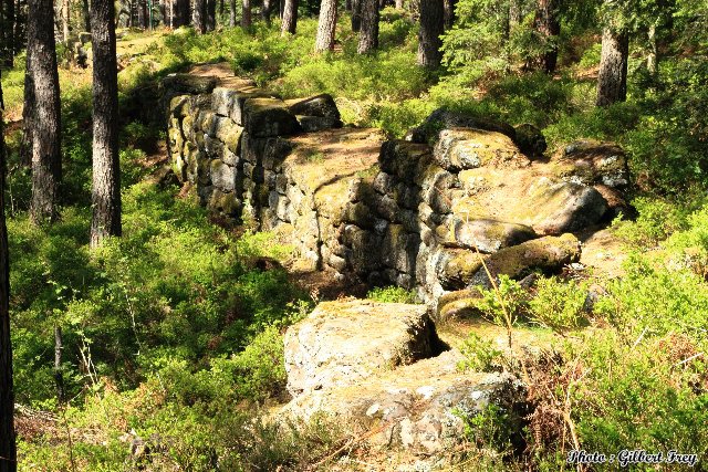 L'enceinte du mur payen du Mont Sainte Odile