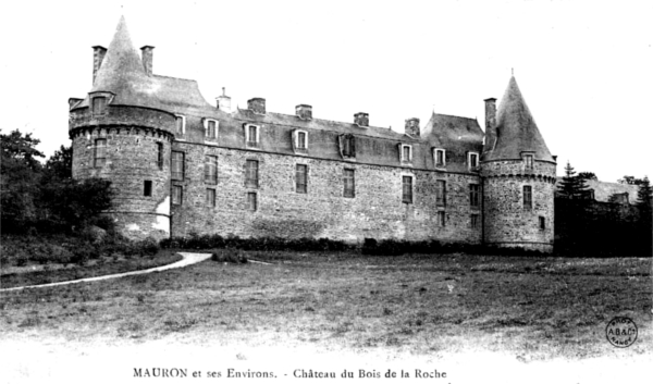 Chteau du Bois-de-la-Roche en Nant-sur-Yvel (Bretagne).