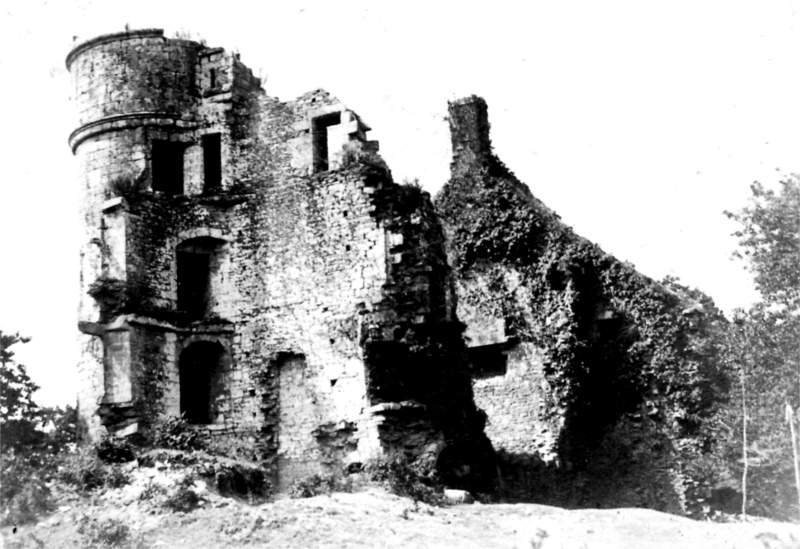 Ruines de Rustphan  Nizon (Bretagne).