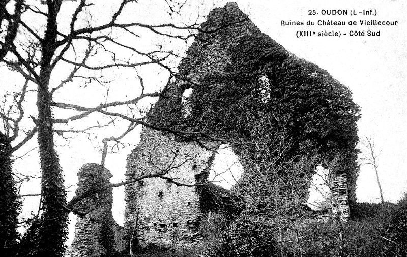 Ruines du chteau de Vieillecour  Oudon (anciennement en Bretagne).