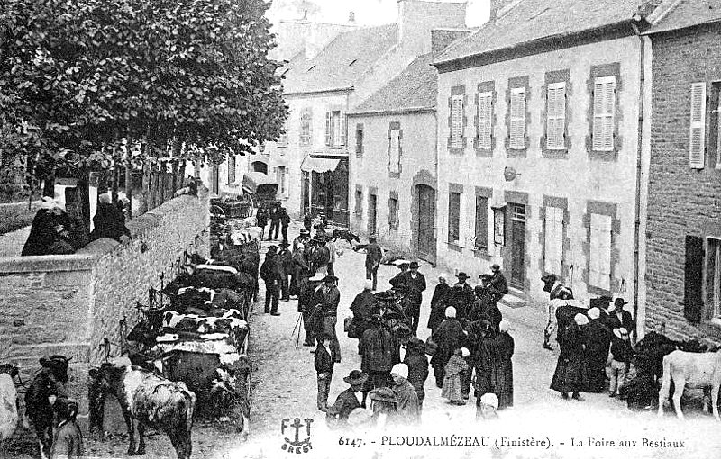 Ville de Ploudalmzeau (Bretagne).