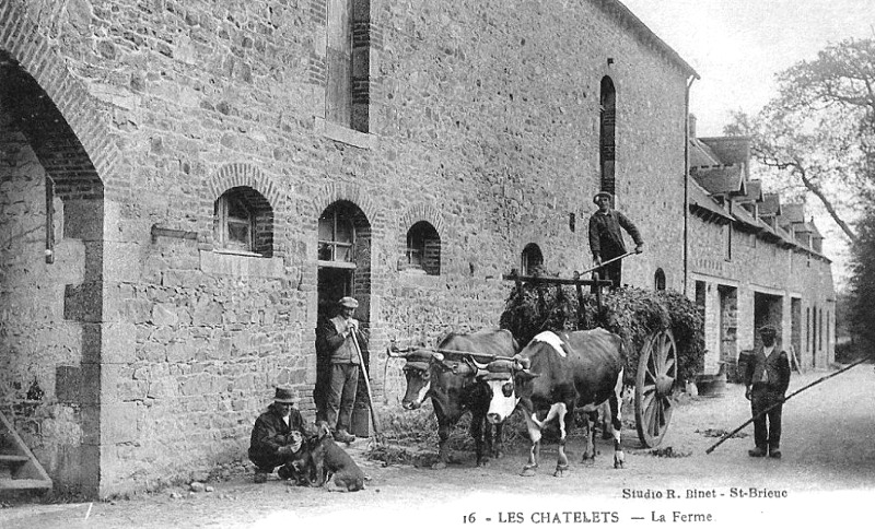 Les Chatelets  Ploufragan (Bretagne).