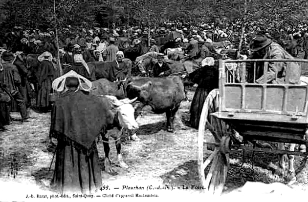 Foire de Plourhan (Bretagne).