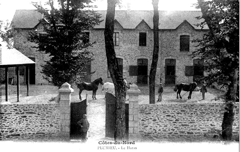 Haras de Plumieux (Bretagne).