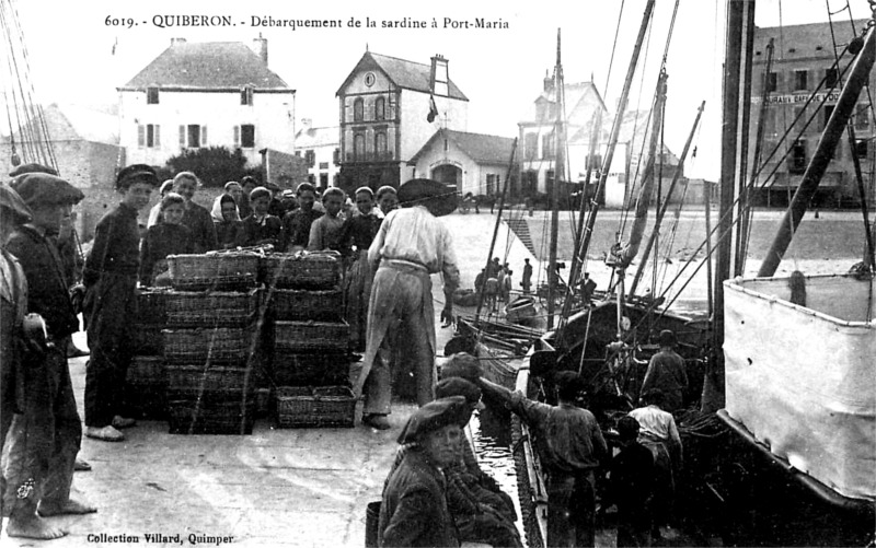 Port de Quiberon (Bretagne).