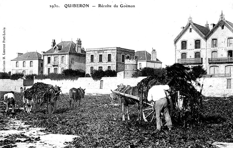 Ville de Quiberon (Bretagne).