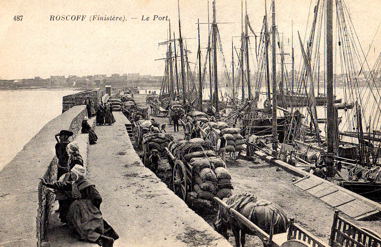 Port de Roscoff (Bretagne)