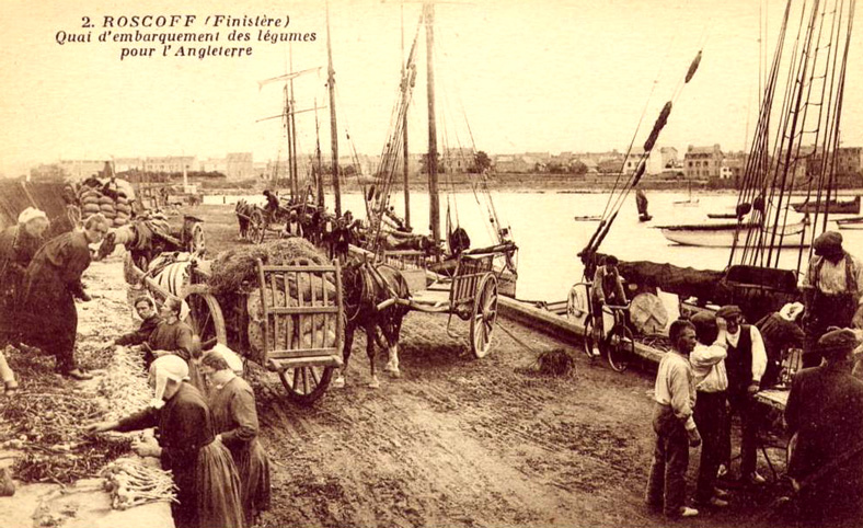 Embarquement des lgumes  Roscoff (Bretagne)